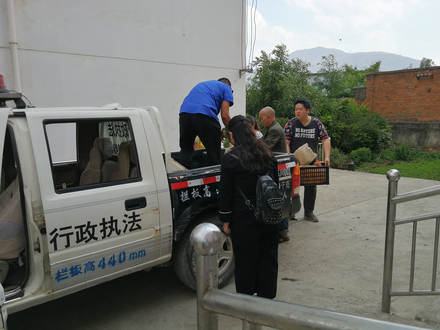 图片5