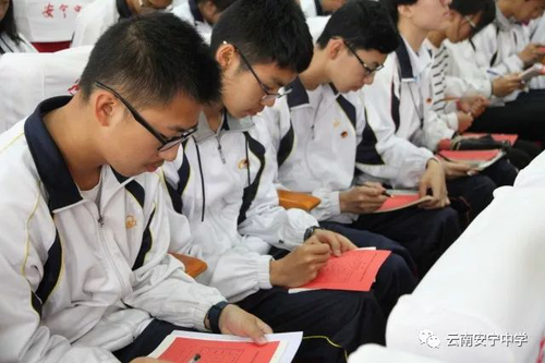 图片13