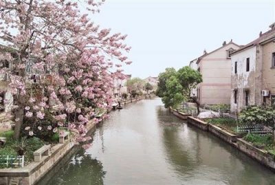 开弦弓村位于太湖南岸，村舍依水而建、云绕水依。图为《江村经济》一书中的小清河。（资料图片）
