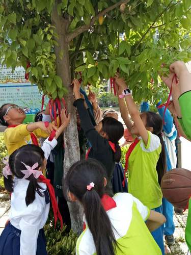 图片7