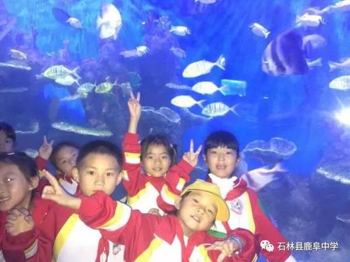 微信图片_20180619142750