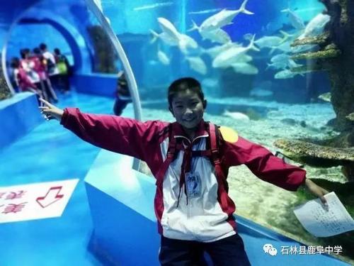 微信图片_20180619142753