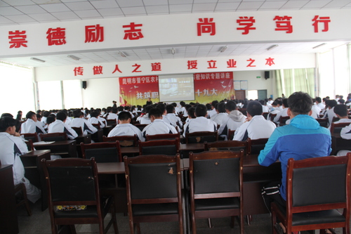 9.尊老敬老照片 (3)