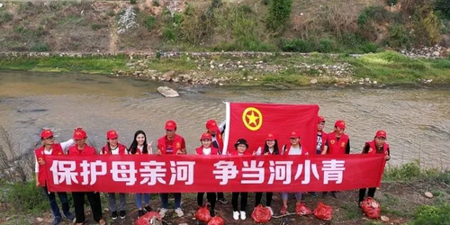 图片5