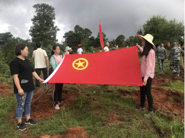 图片1