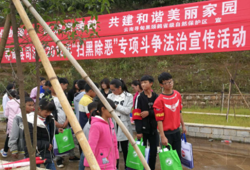图片3