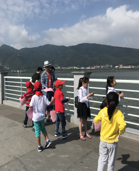 图片5 图片5