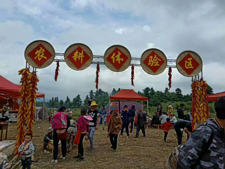 活动现场