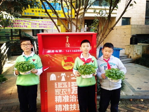 绿植领养
