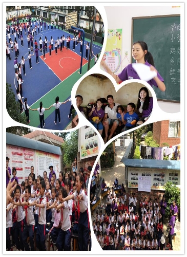 图片12