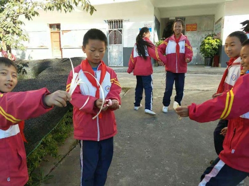 图片5 图片5