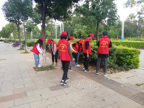 图片1 图片1