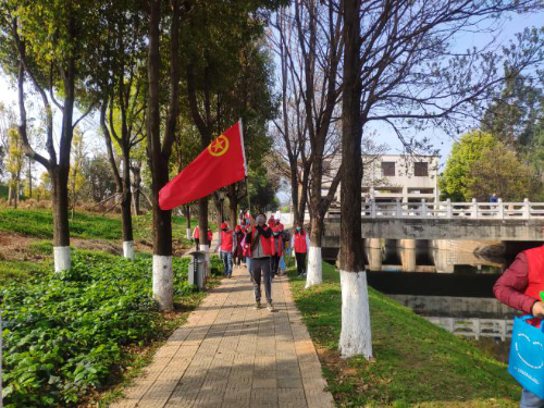图片6