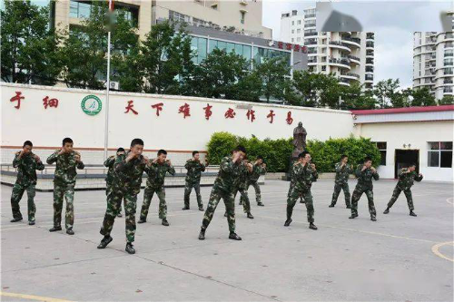 图片3