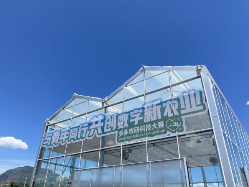 图片1