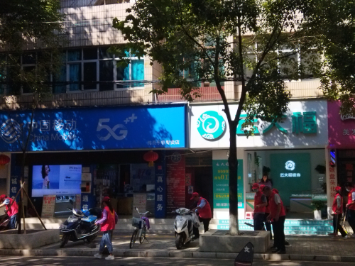 图片15