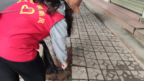 图片25