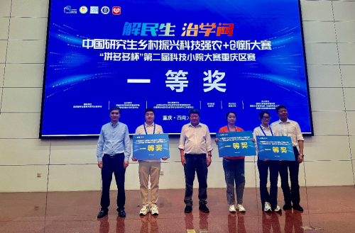图片5