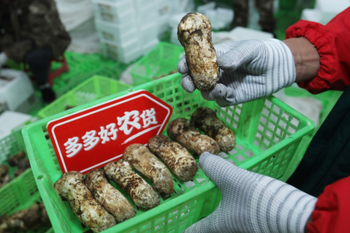 图片 7