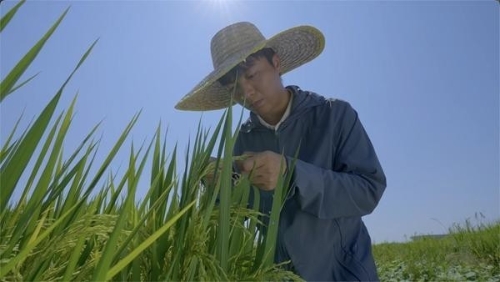 W<span style='background-color:;'>020260119238774807</span>696