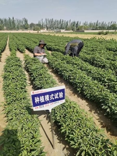 W<span style='background-color:;'>020260119238768940</span>324