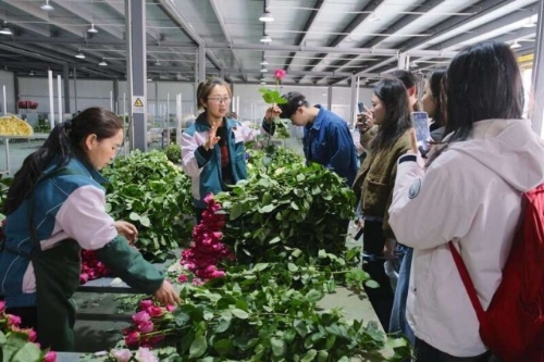 W<span style='background-color:;'><span style='background-color:;'>020260130400940152</span></span>138